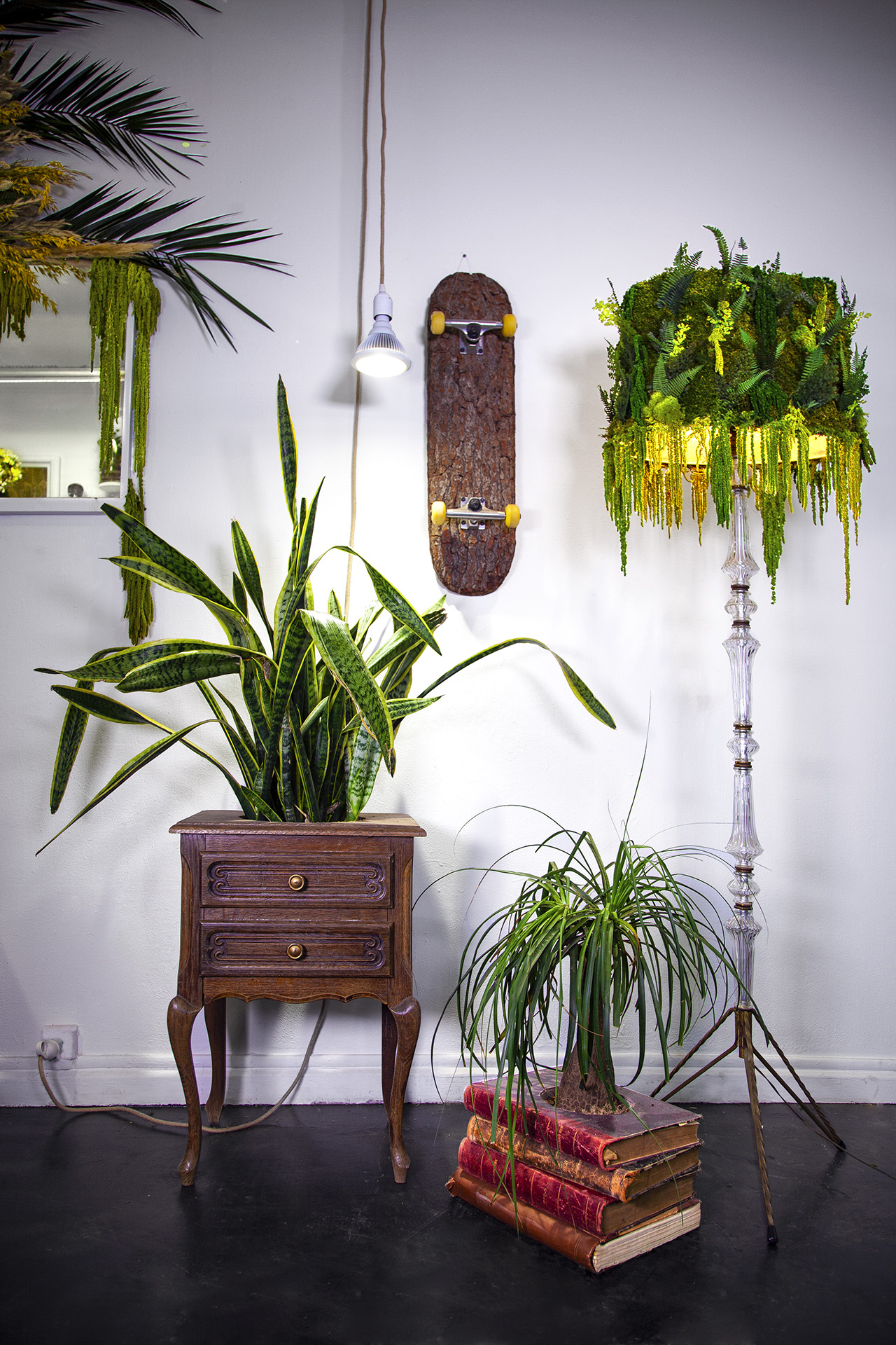At home - Mr Plant At home - Monsieur Plant
