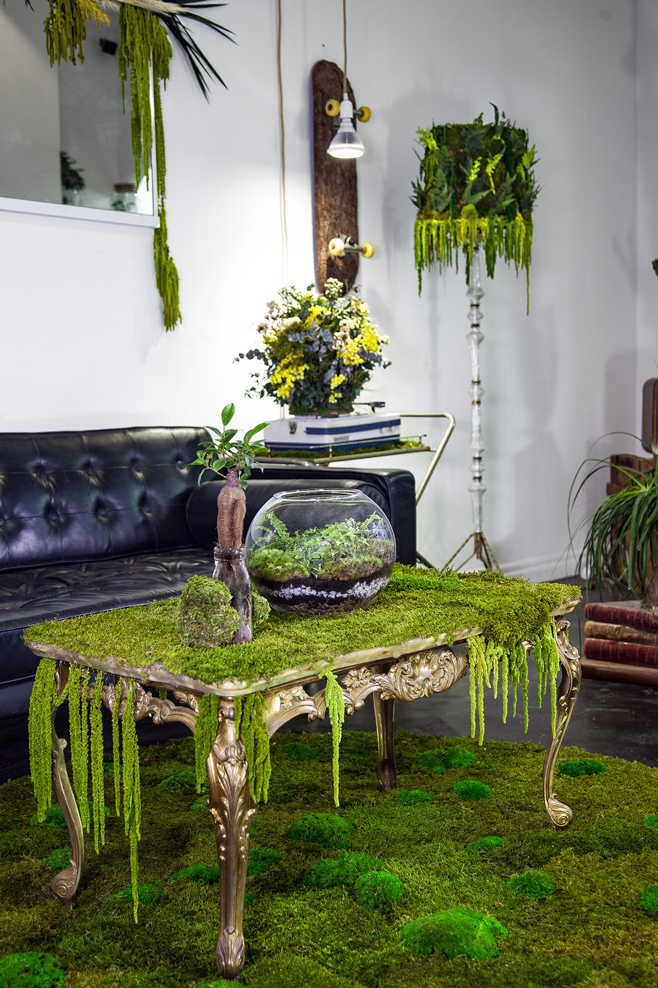 At home - Monsieur Plant At home - Mr Plant