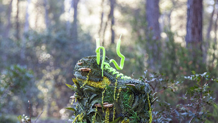 ~ Back To Nature ~