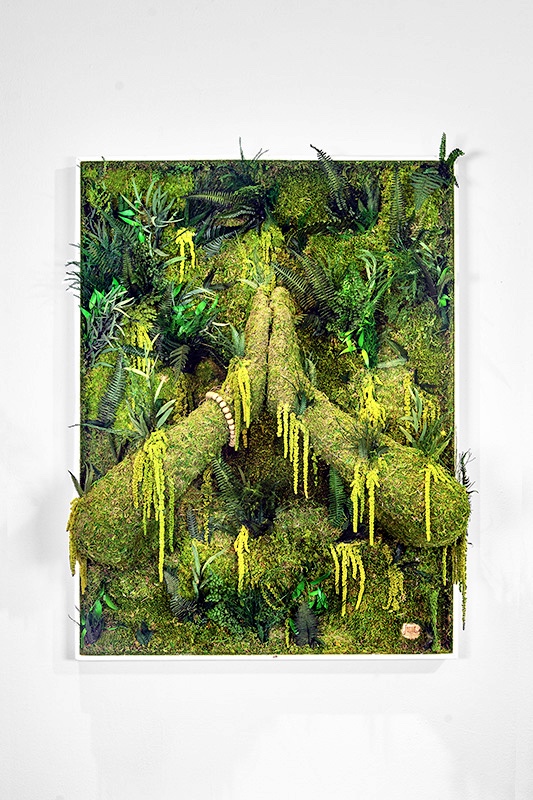 Human Nature - Monsieur Plant Human Nature - Mr Plant