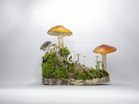 ~ Mushroom Sneakers ~
