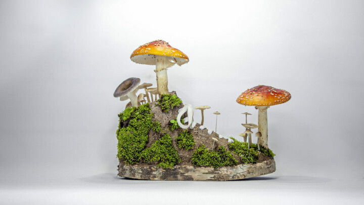 ~ Mushroom Sneakers ~