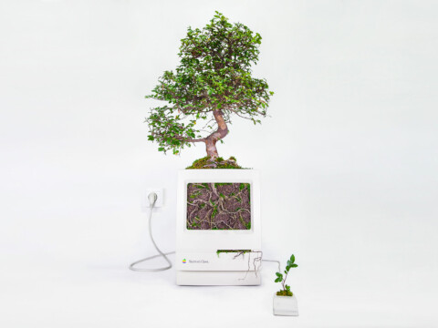~ Plant Your Mac ~