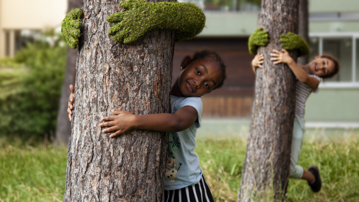~ TREE HUG ~