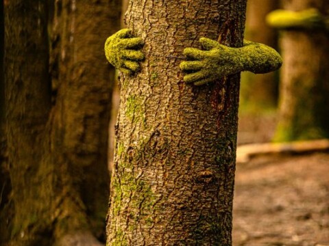 The Forest of Dean Sculpture