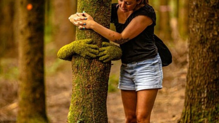~ The Forest of Dean Sculpture ~