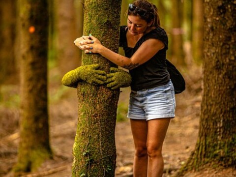 The Forest of Dean Sculpture
