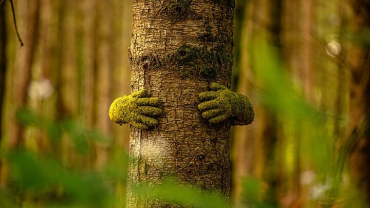 ~ The Forest of Dean Sculpture ~