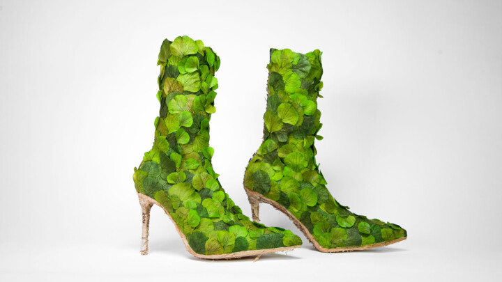 ~ Pinko Shoes ~