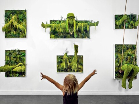 SEIZE Gallery
