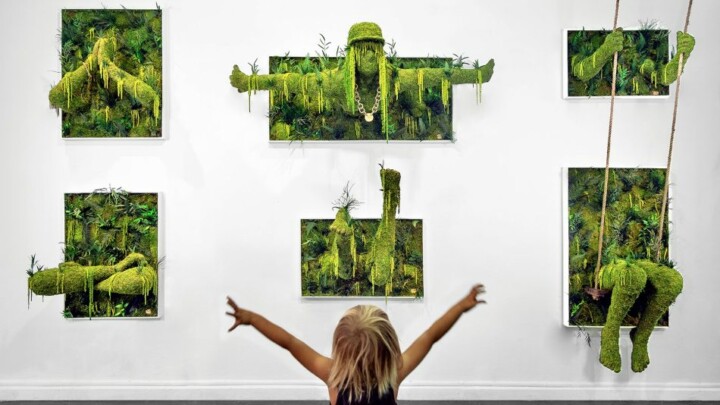 SEIZE Gallery
