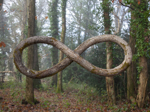 ~ Infinity ~