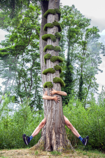 ~ Tree Hug / Louvre Lens ~