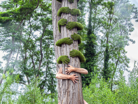 ~ Tree Hug / Louvre Lens ~