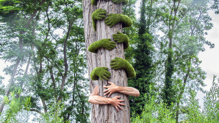 ~ Tree Hug / Louvre Lens ~