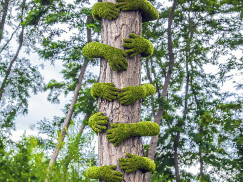 ~ Tree Hug / Louvre Lens ~