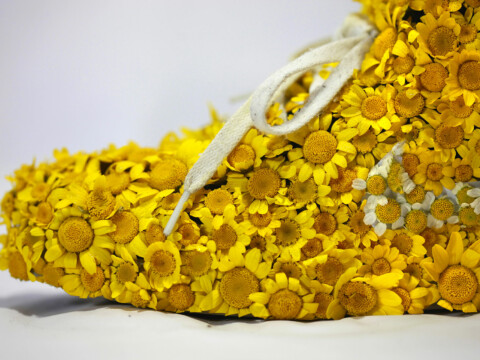 ~ Flower Power ~