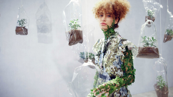 ~ Design Week ~