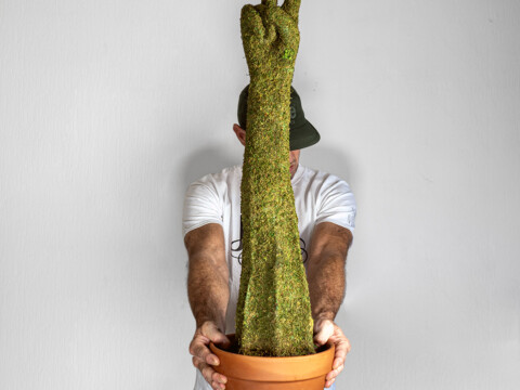 Human Plant
