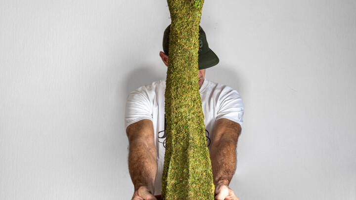 Human Plant
