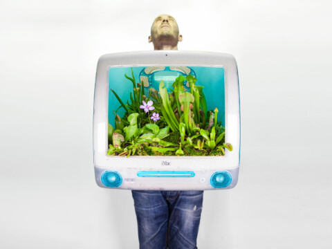 ~ Plant Your Mac ~