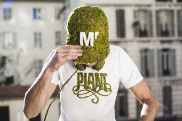 Mr Plant Collection
