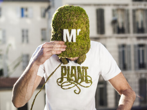 Mr Plant Collection