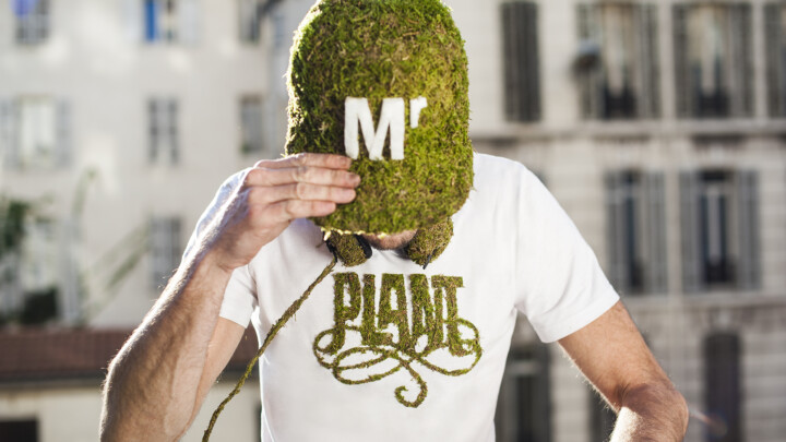 Mr Plant Collection