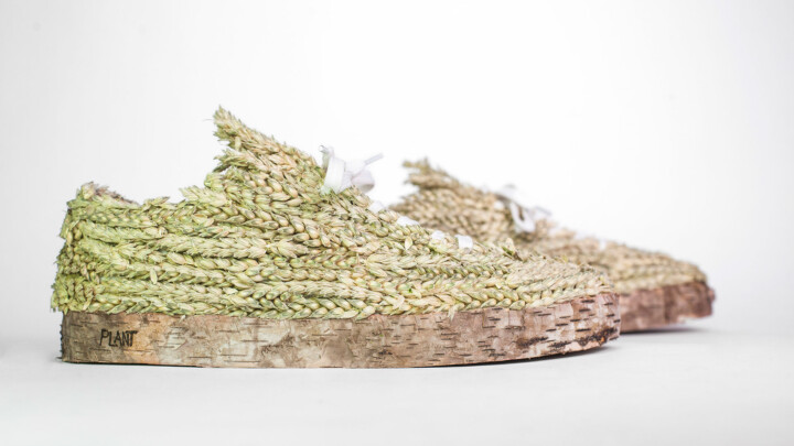 ~ KaDeWe Sneakers ~