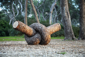 Parc Borély / France – Marseille