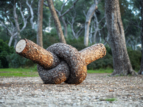 ~ Tree Knot ~