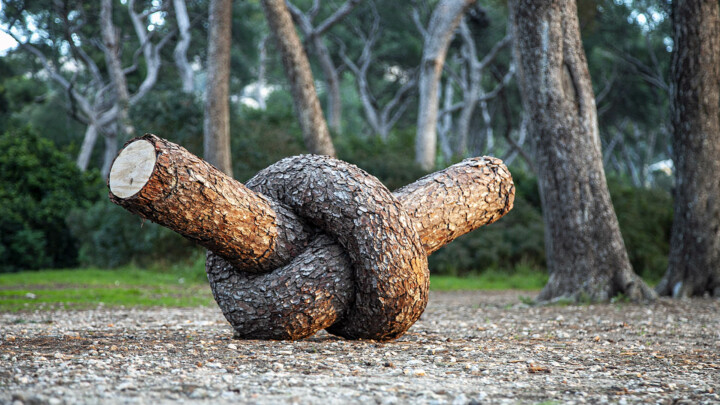 ~ Tree Knot ~