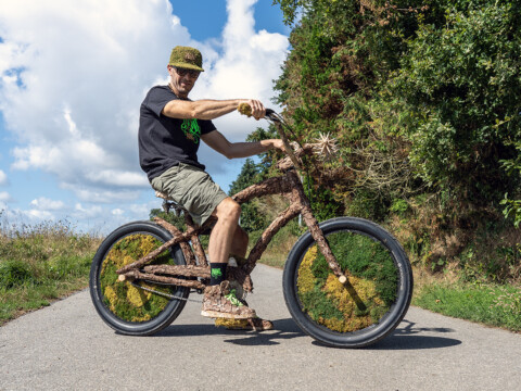 Cruiser Wood