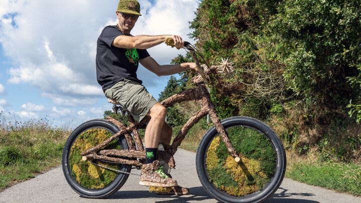 Cruiser Wood