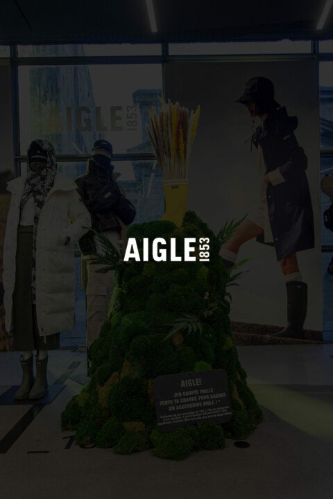Aigle