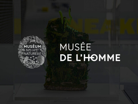 Musée de l’Homme
