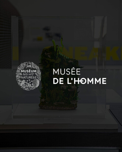 Musée de l’Homme