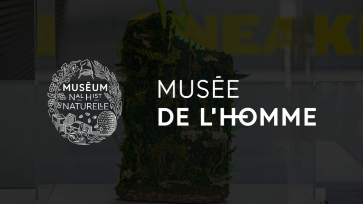 Musée de l’Homme