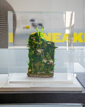 Musée de l&rsquo;Homme – Paris