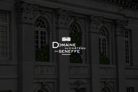 Chateau de Seneffe
