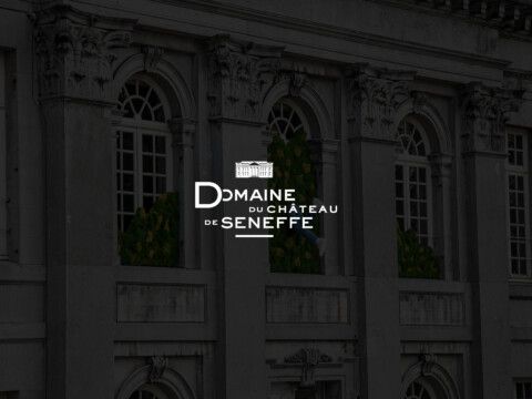 Chateau de Seneffe