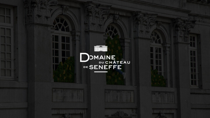 Chateau de Seneffe