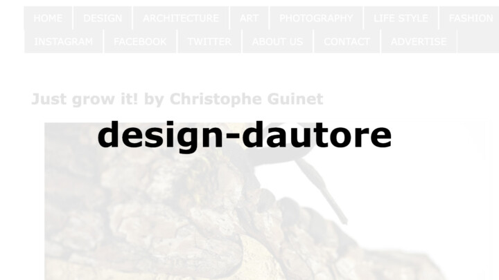Design-Dautore