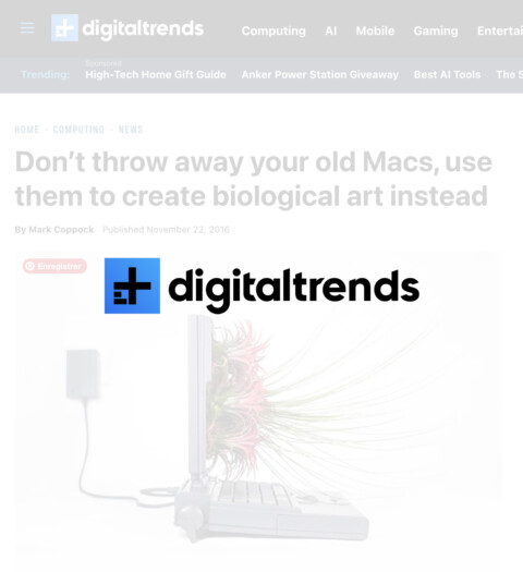 Digital Trends