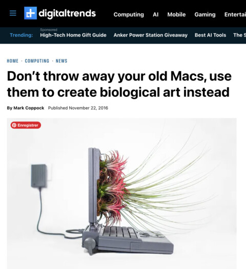 Digital Trends