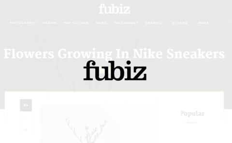 Fubiz