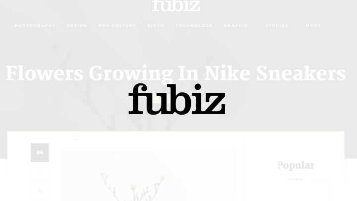 Fubiz