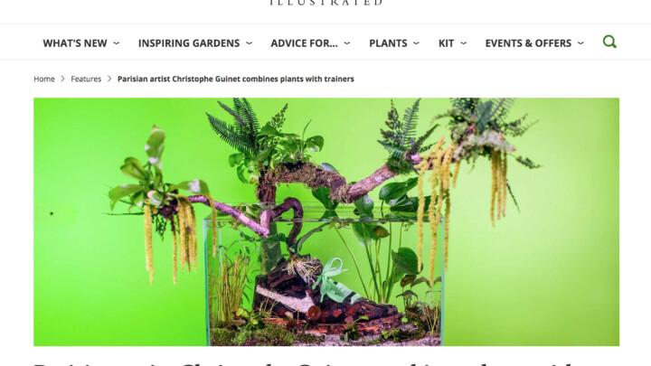 Garden Illustrated