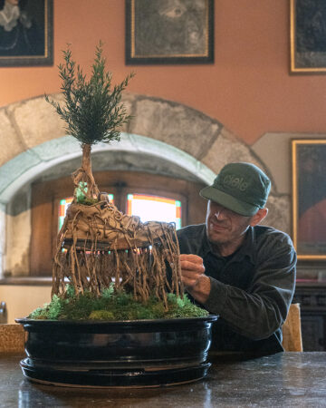 « Légendes Botaniques »