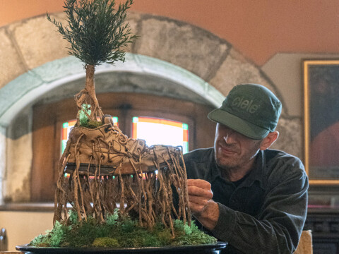 « Légendes Botaniques »